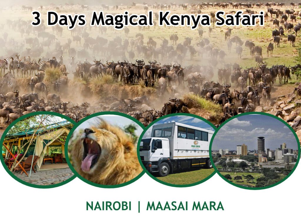 3 Days Magical Kenya Safari
