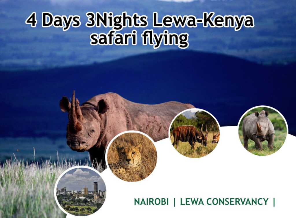4 Days 3 Nights Lewa - Kenya Safari Flying