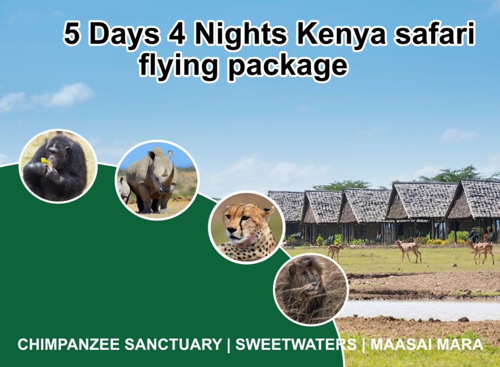 5 days 4 nights Kenya Safari Flying Package