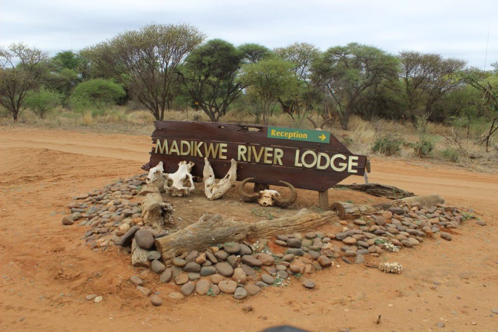 Madikwe River Lodge 4*