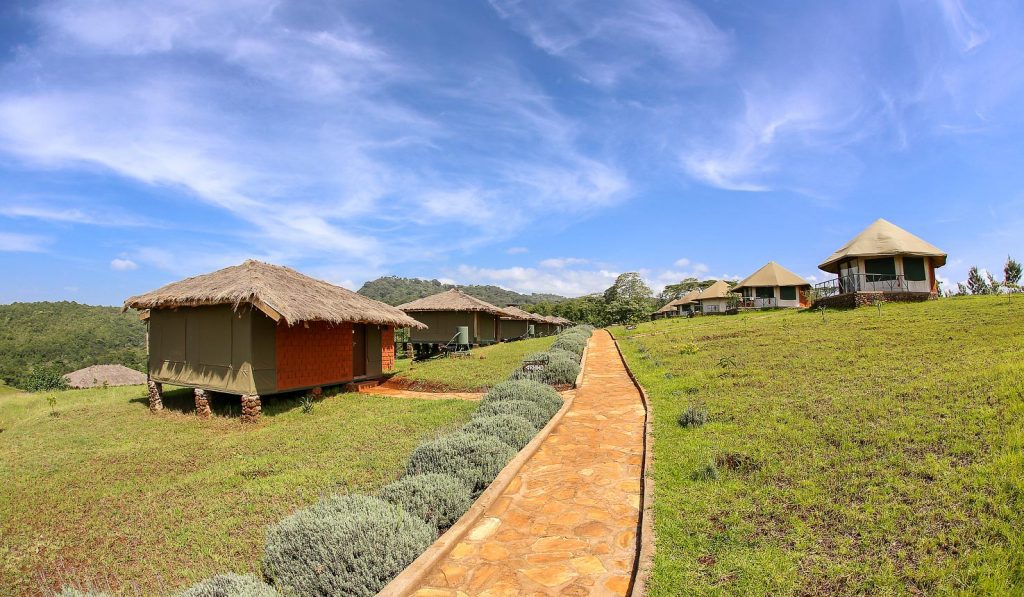 Karatu Simba Lodge 4*