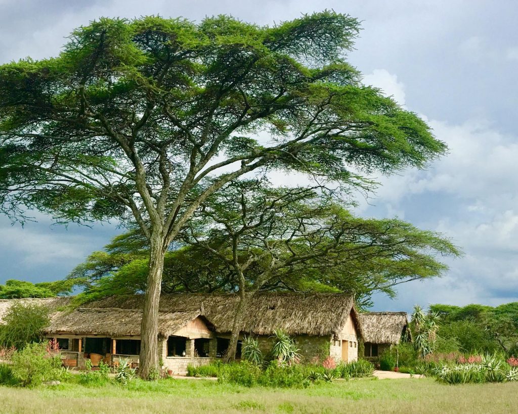 Ndutu Safari Lodge 4*