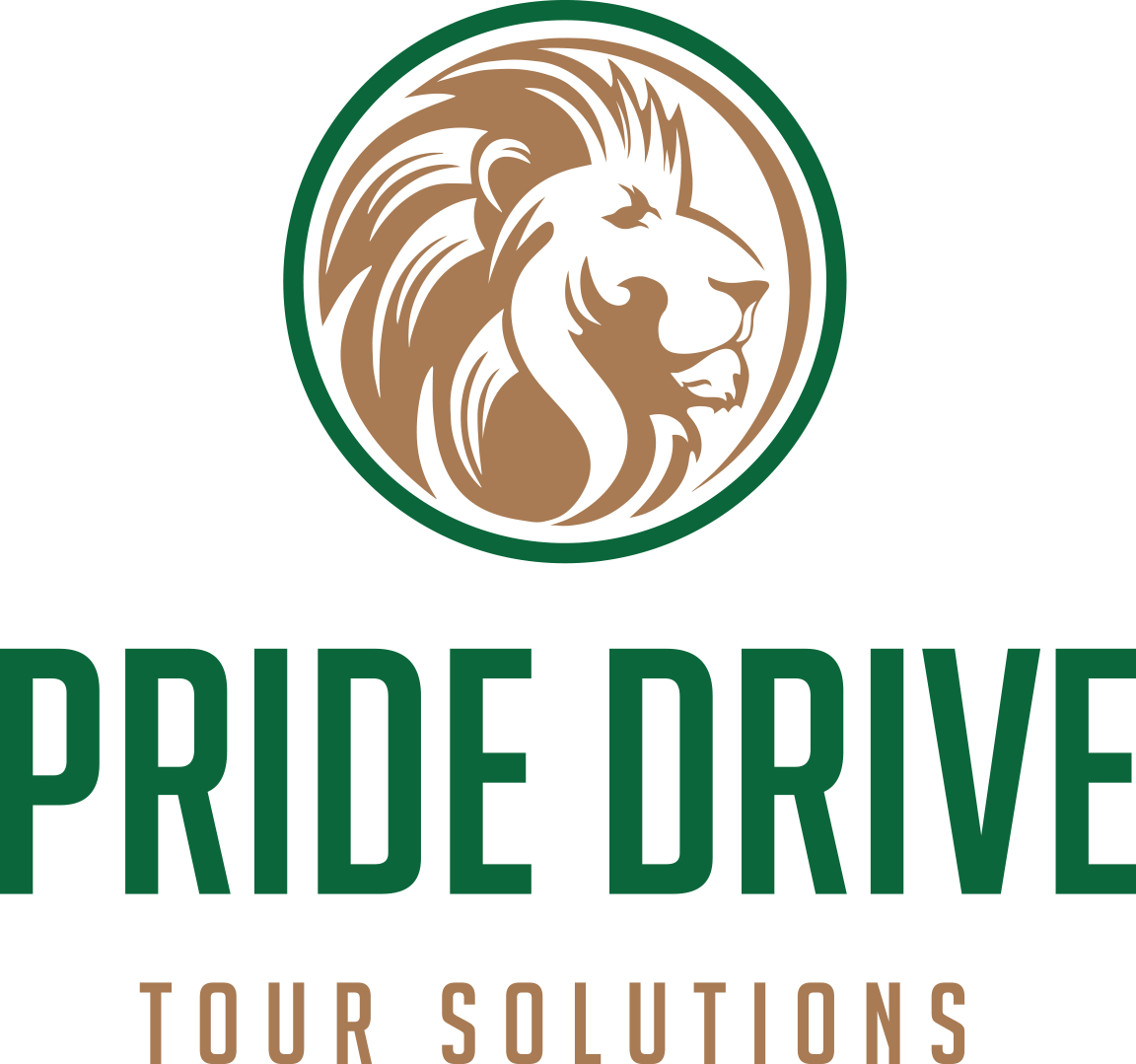 Pride Drive Tour Solutions Limited | 5 Days 4 Nights Kenya Safari Flying Package - Pride Drive Tour Solutions Limited