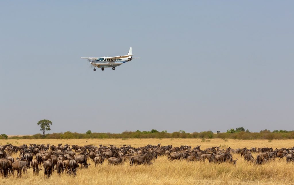 Mara Explorer Fly-in Safari Package