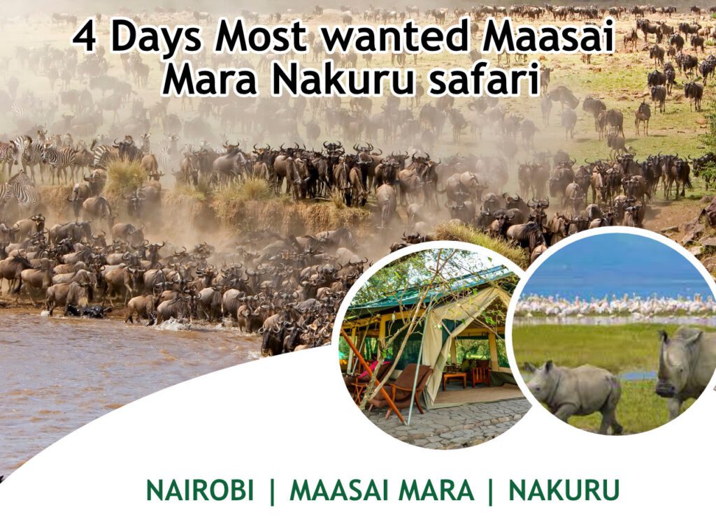 4 Days Most Wanted Masai Mara Nakuru Package