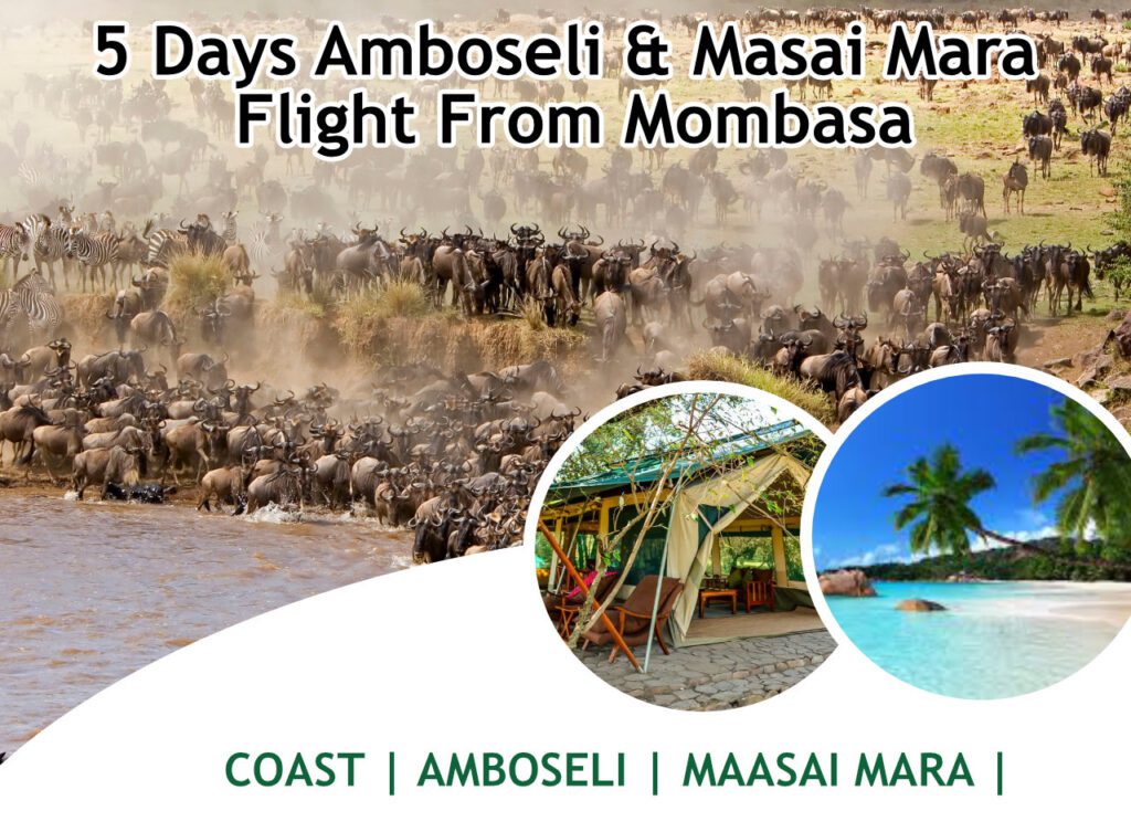5 Days Amboseli & Masai Mara Flight From Mombasa
