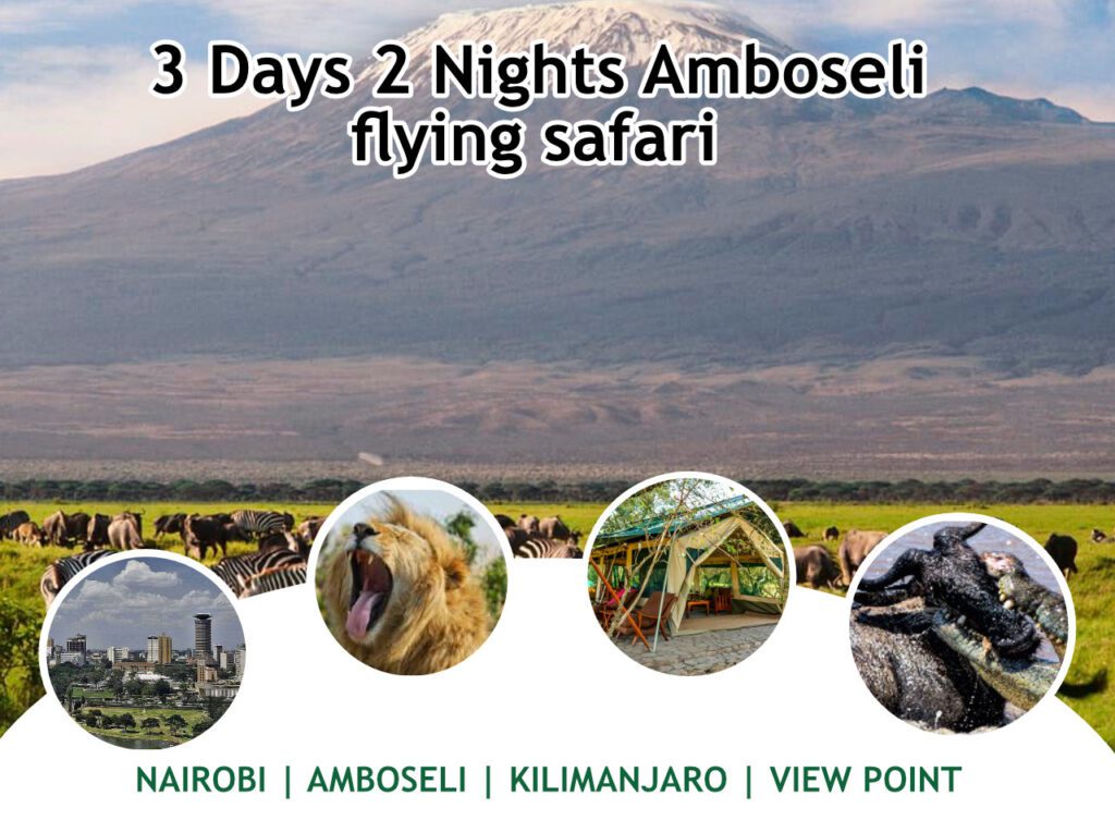 3 Days 2 Nights Amboseli Flying Safari