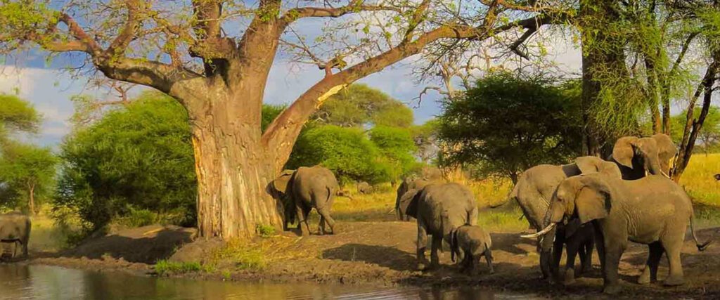 Arusha National Park