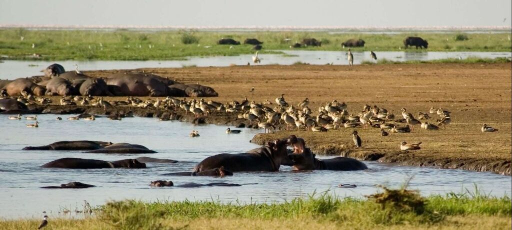 Lake Manyara National Park