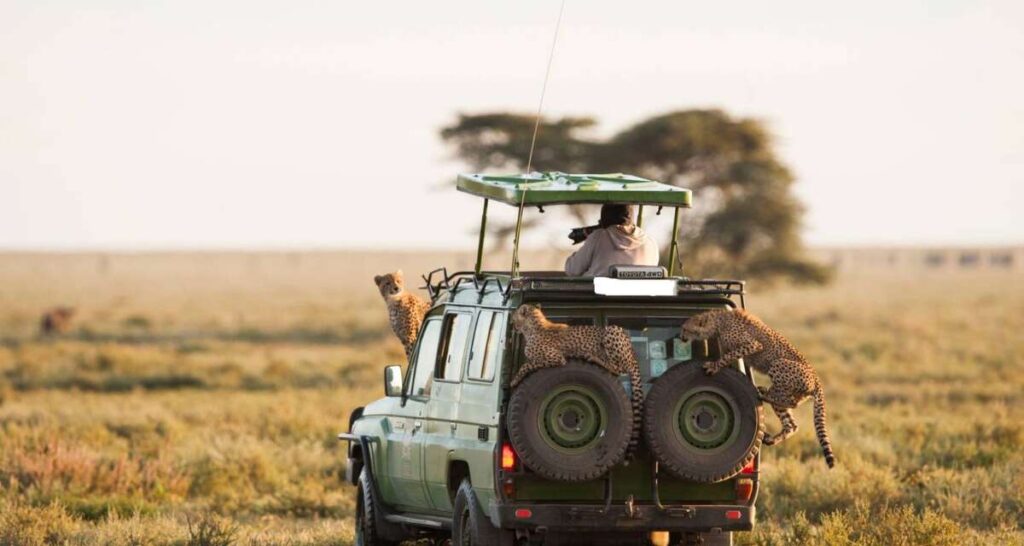 Medical insurance for your safari in Africa