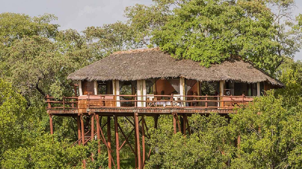Elewana Treetops Scaled