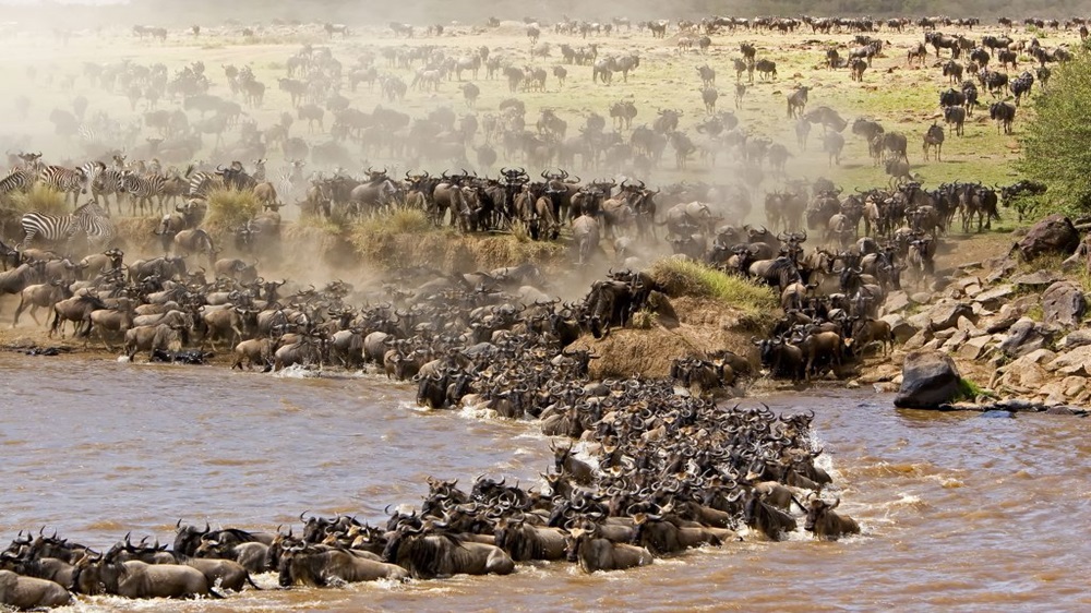Masai Mara Scaled
