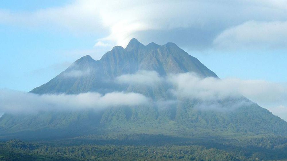 Mt Elgon Scaled