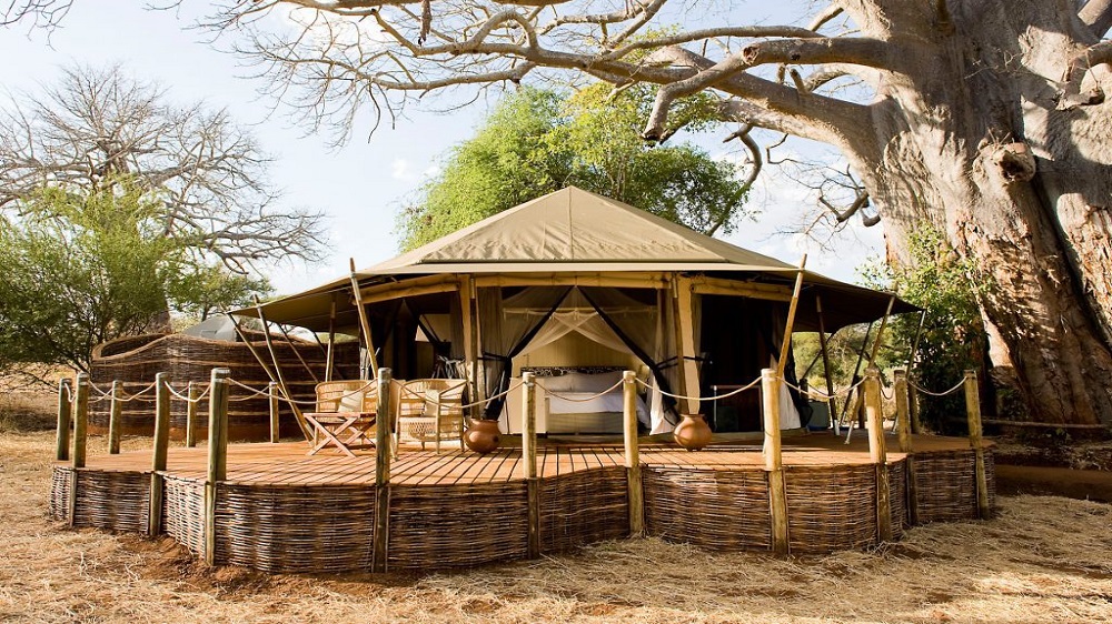 Sanctuary Swala Scaled