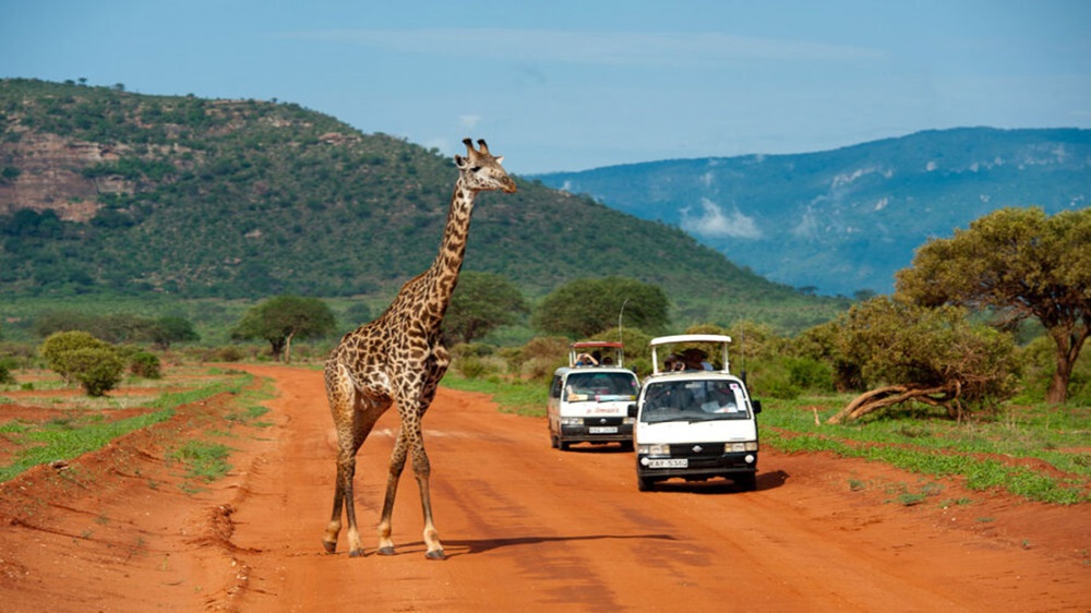 Tsavo East Scaled