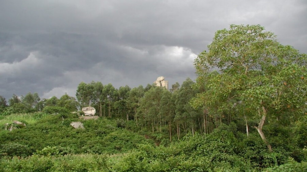 kakamega forest scaled